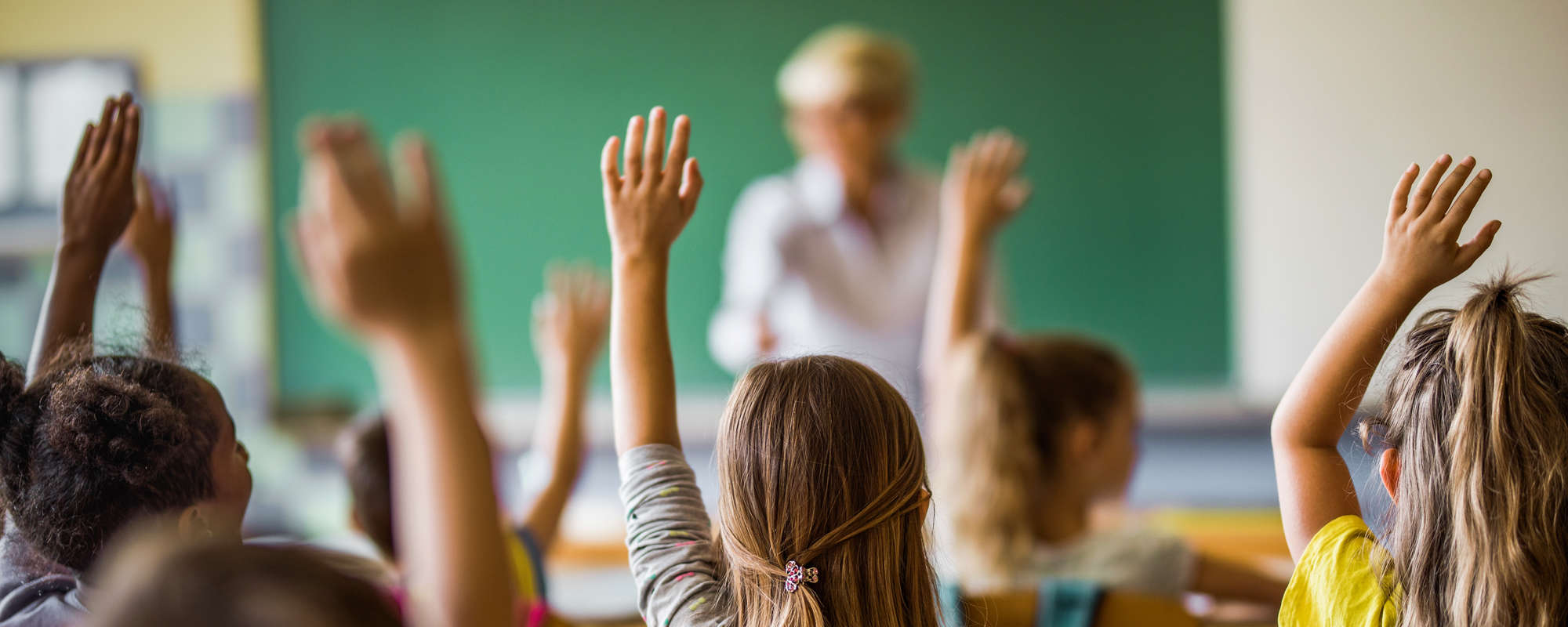 Canadian schools themed stock photo - students with raised hands facing a teacher in front of the class.